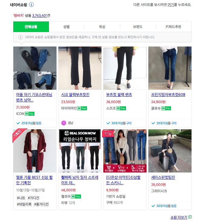 네이버 상품 검색 시 지식쇼핑 영역