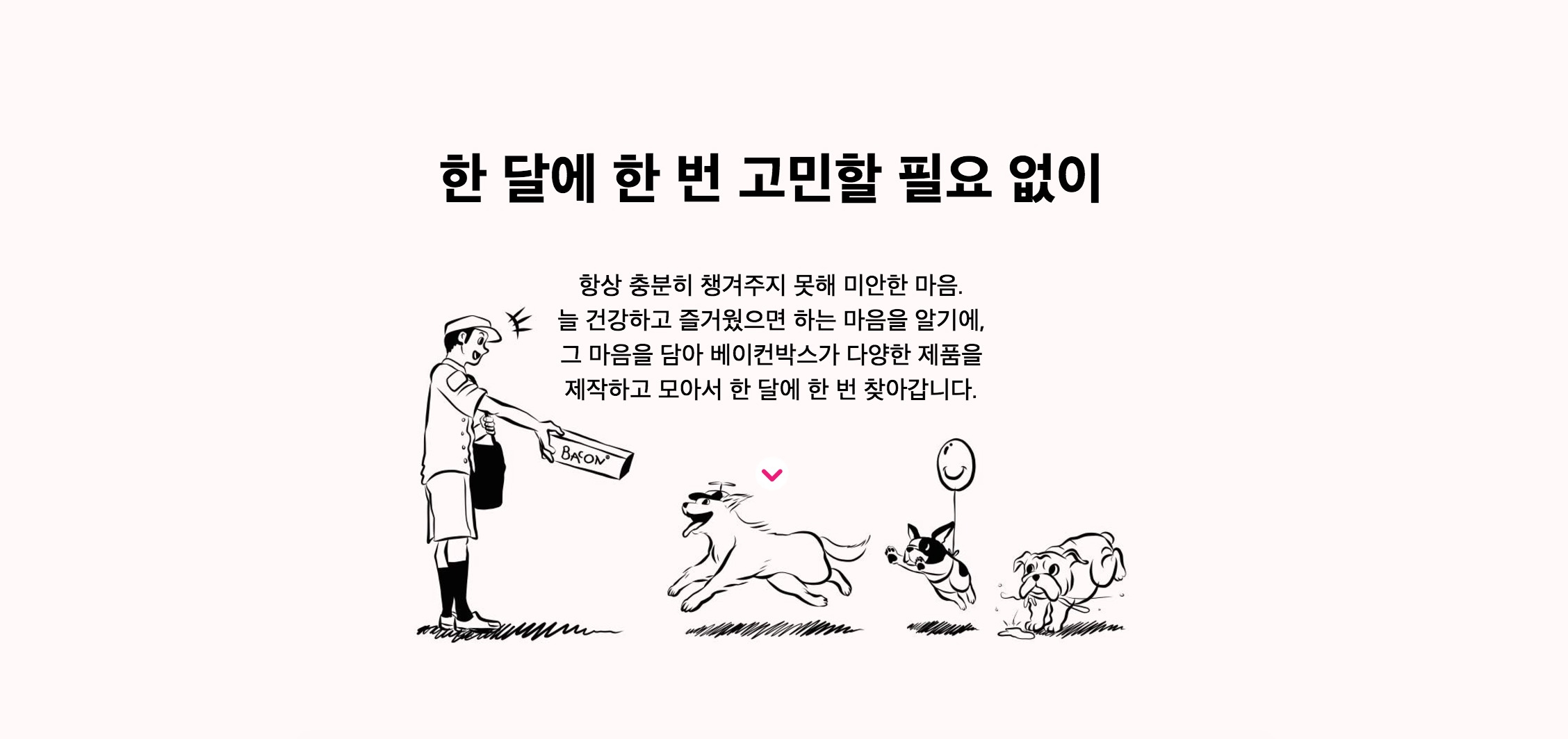 워드프레스 정기결제 사례 베이컨 박스 사이트 화면 2