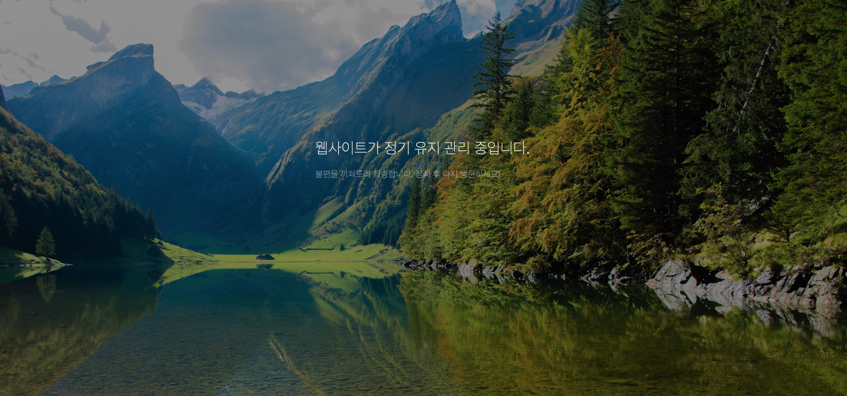 유지관리 모드 활성화